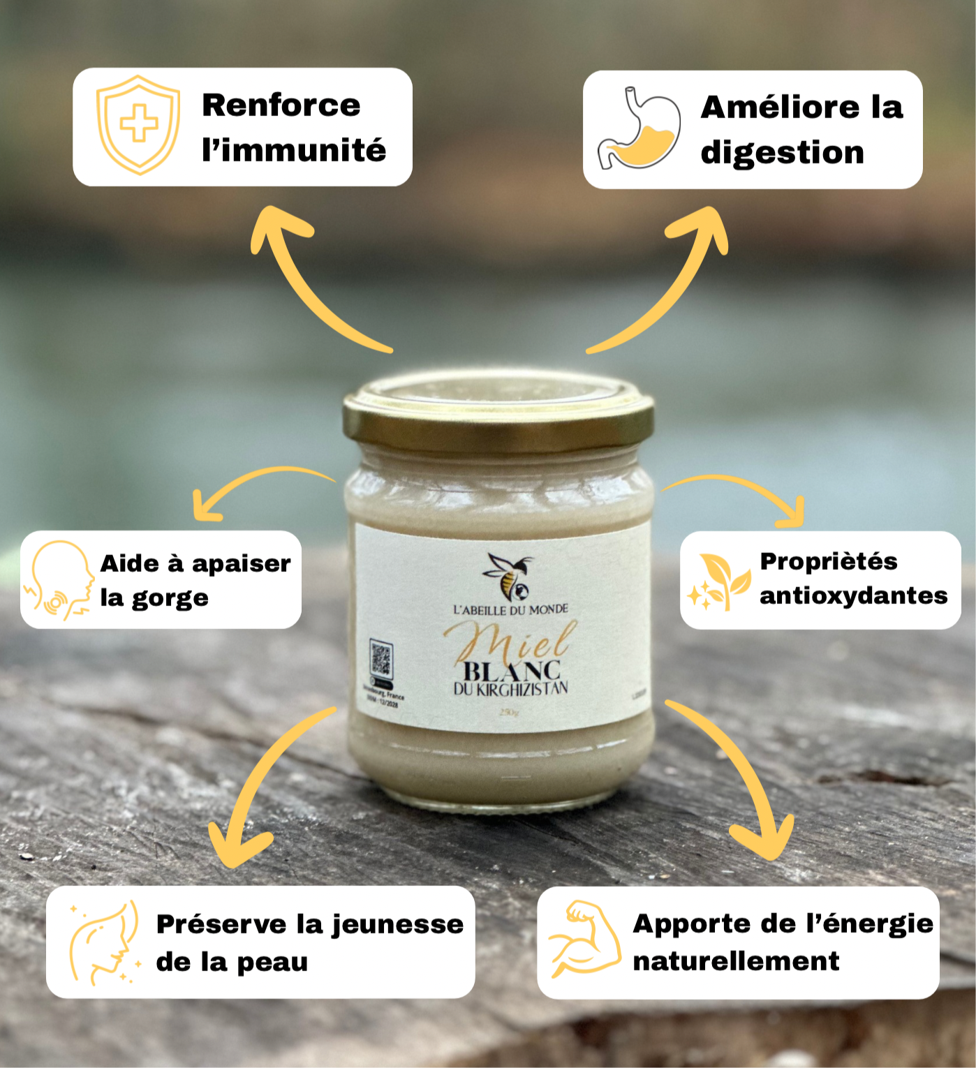 Miel Blanc du Kirghizistan