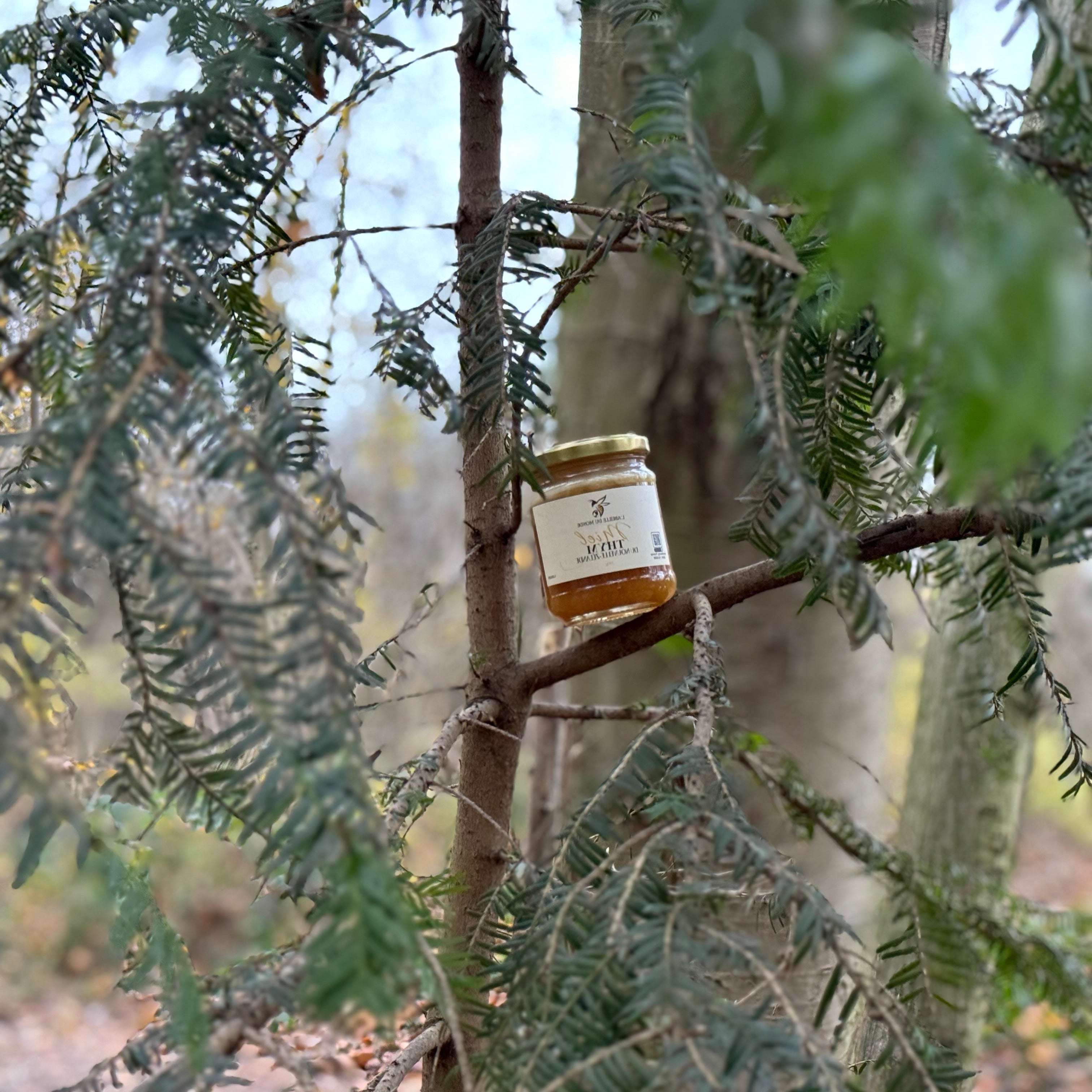 Miel de Thym Crémeux de Nouvelle-Zélande